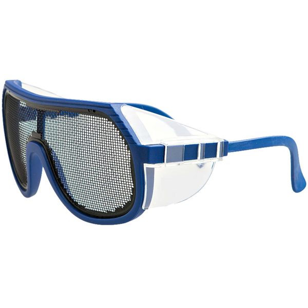 Wire Mesh Goggles - Eye Protection